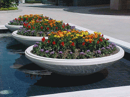 Fiberglass Planter - Buena Park 2